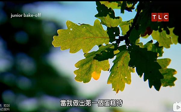 糕点小厨神 Junior Bake Off(BBC系列)