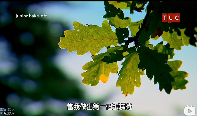 糕点小厨神 Junior Bake Off(BBC系列)