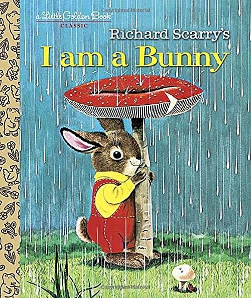 I am a Bunny我是一只小兔子(PDF MP3 视频)