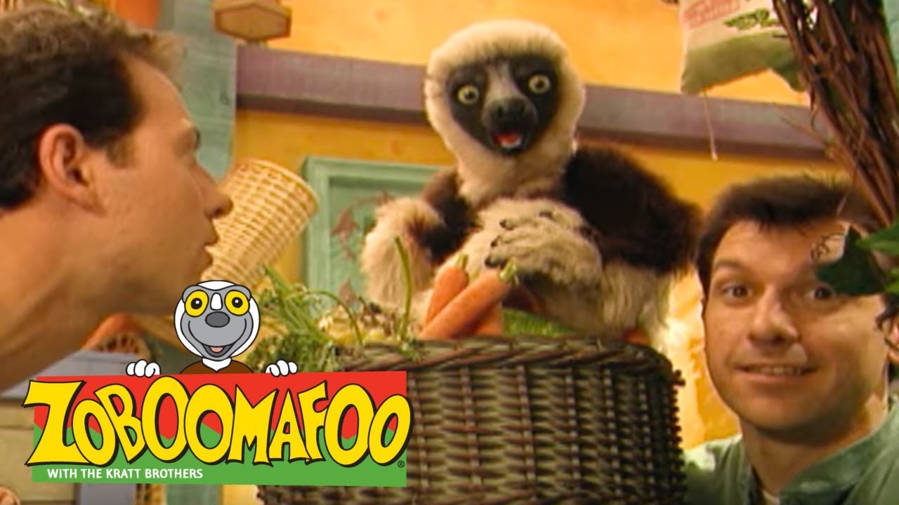 zoboomafoo1