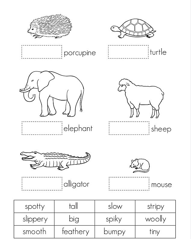 kizclub topics动物 时间 季节 颜色 形状 数字 食物等11个主题认知闪卡