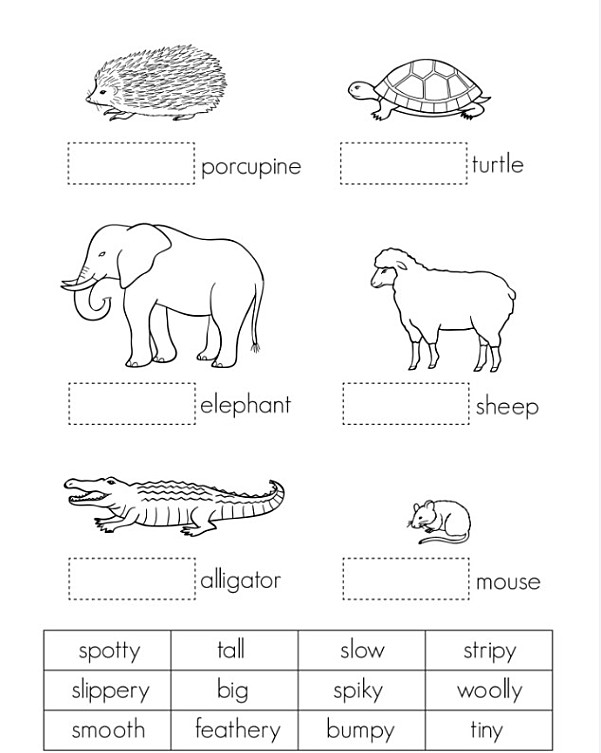 kizclub topics动物 时间 季节 颜色 形状 数字 食物等11个主题认知闪卡