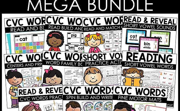 CVC Fluency 单词家族组合练习册综合练习12册全