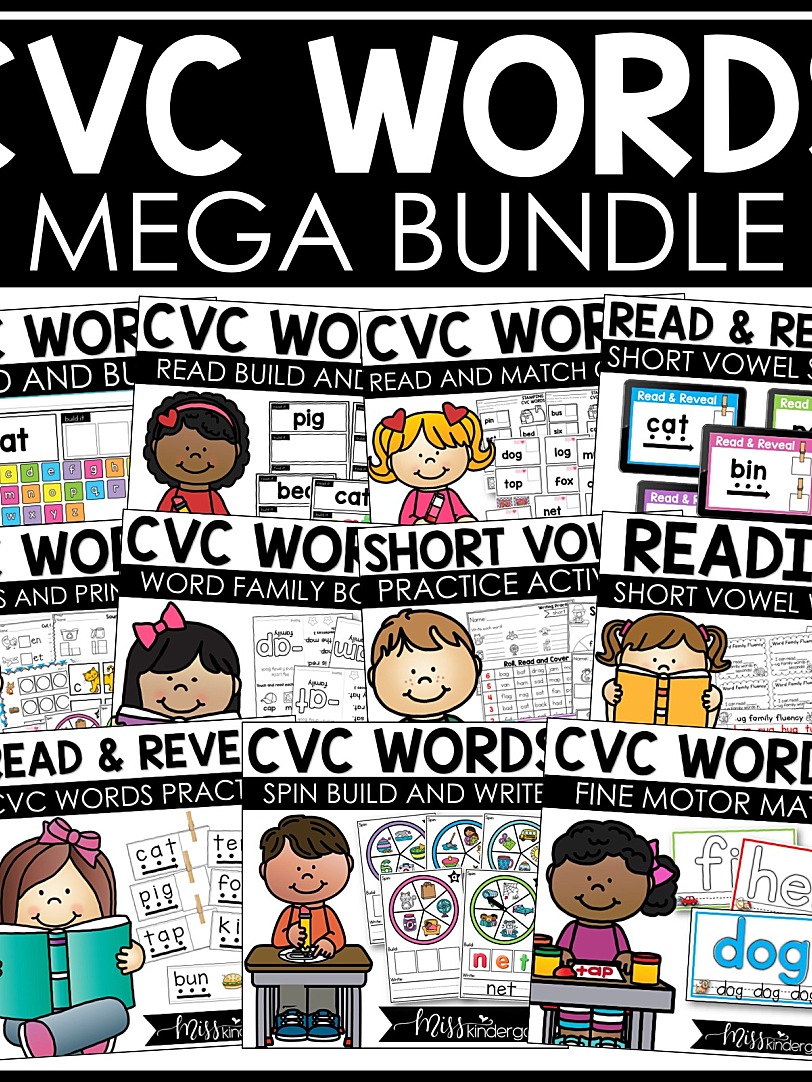 CVC Fluency 单词家族组合练习册综合练习12册全