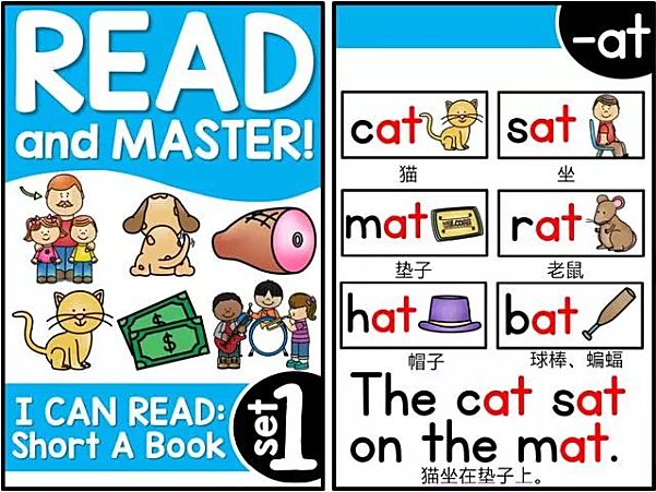 Read and Master自然拼读卡片书15本107张分类全英语启蒙原版高清