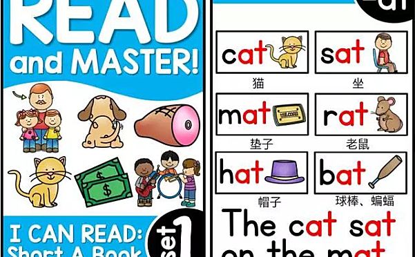 Read and Master自然拼读卡片书15本107张分类全英语启蒙原版高清