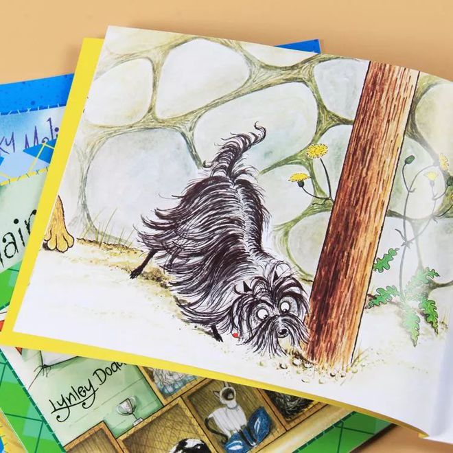 毛毛狗 hairy maclary