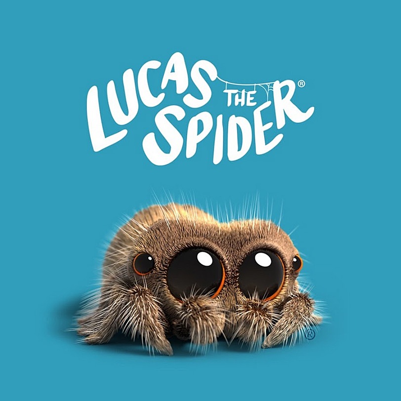 小蜘蛛卢卡斯Lucas the Spider启蒙动画片短片全集英文版