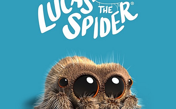 小蜘蛛卢卡斯Lucas the Spider启蒙动画片短片全集英文版