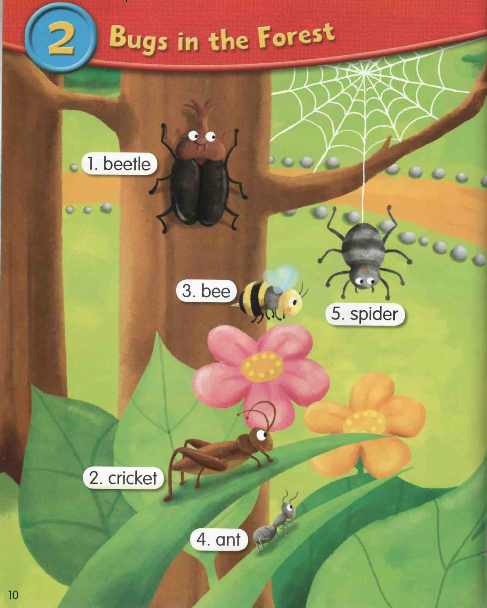 牛津字典Young Children's Picture Dictionary 点读版