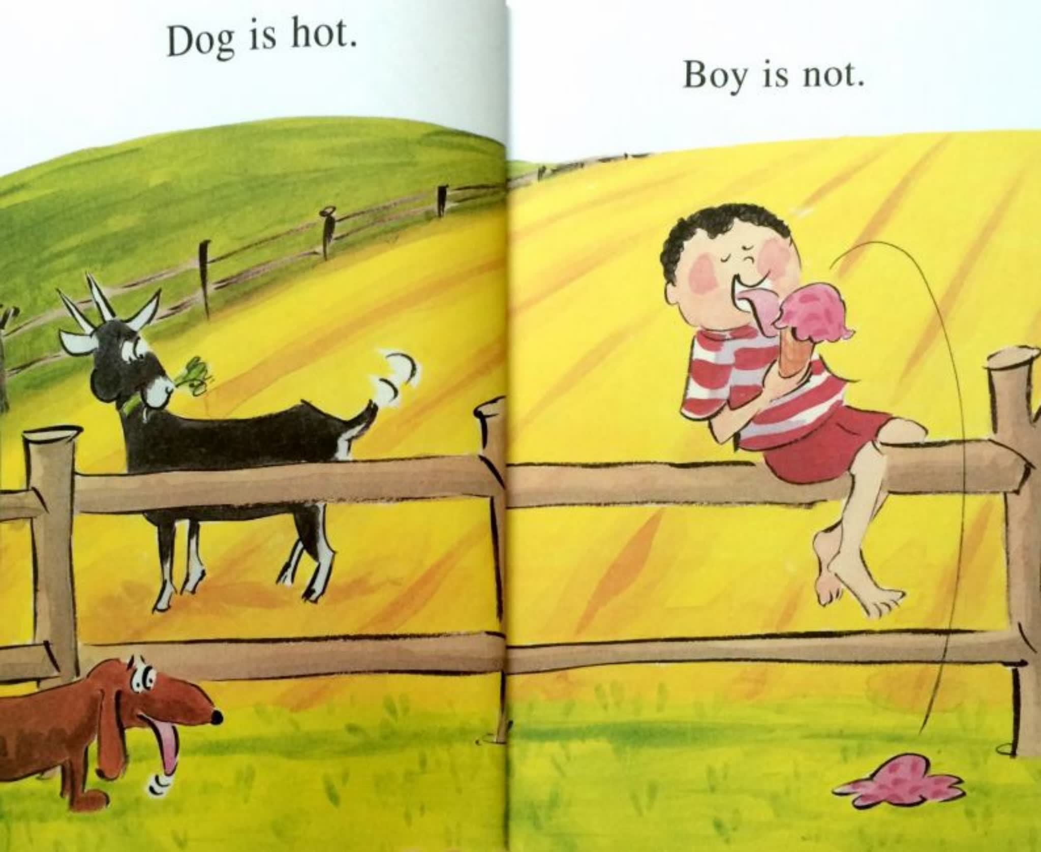 兰登书屋分级读物Step into Reading 1-5级