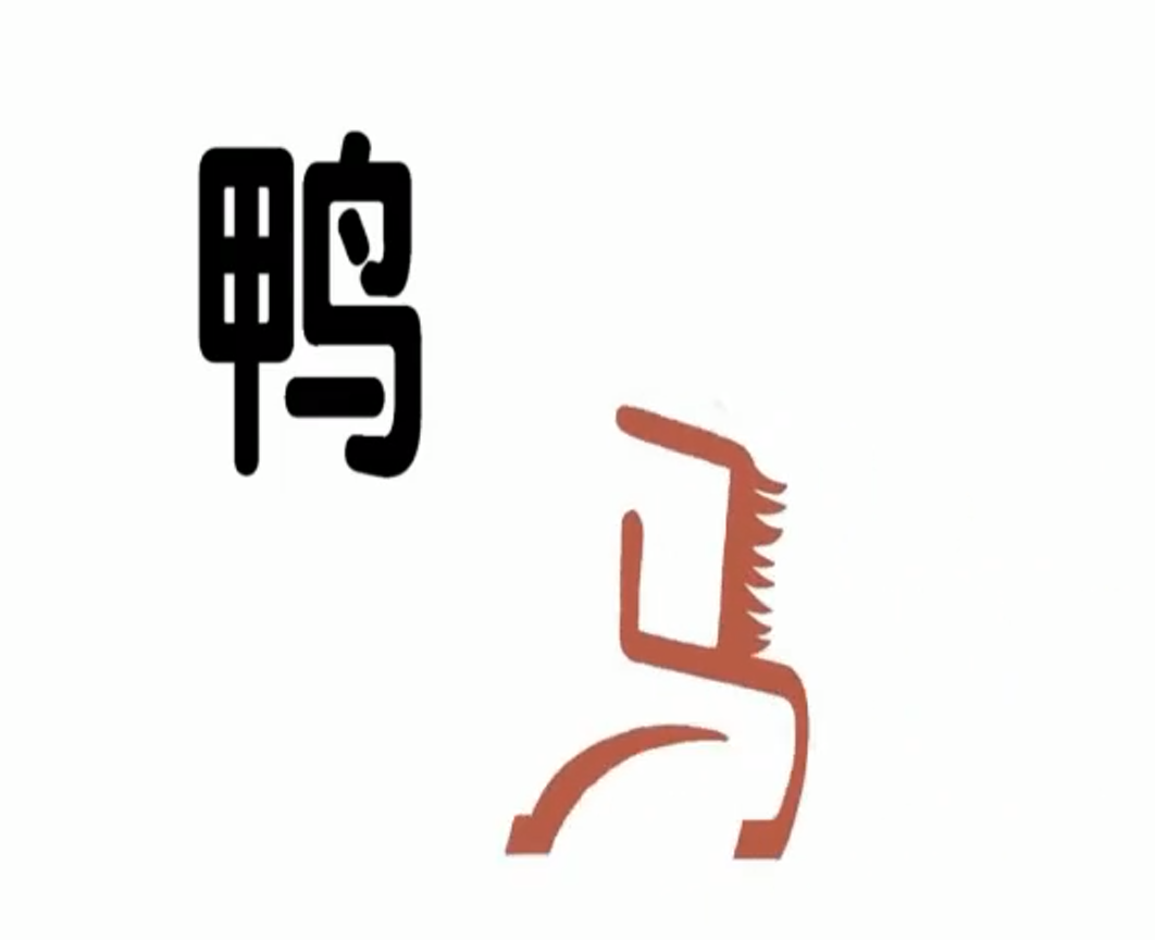 汉字乐园 15集视频