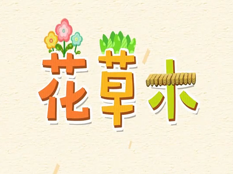 汉字乐园 15集视频