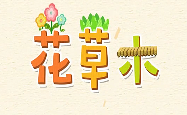 汉字乐园 15集视频