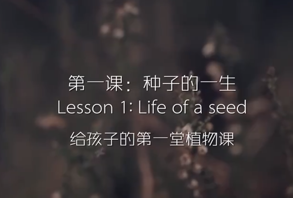 给孩子的第一堂植物课（中文版+英文版）1