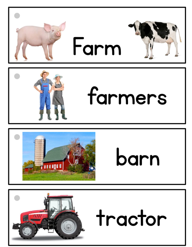 《picture-word cards》28个主题英语启蒙英文闪卡PDF