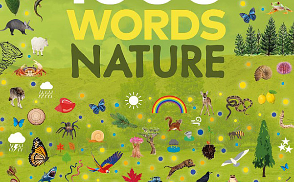 《1000 Words Nature》自然主题英文词汇读写技能PDF