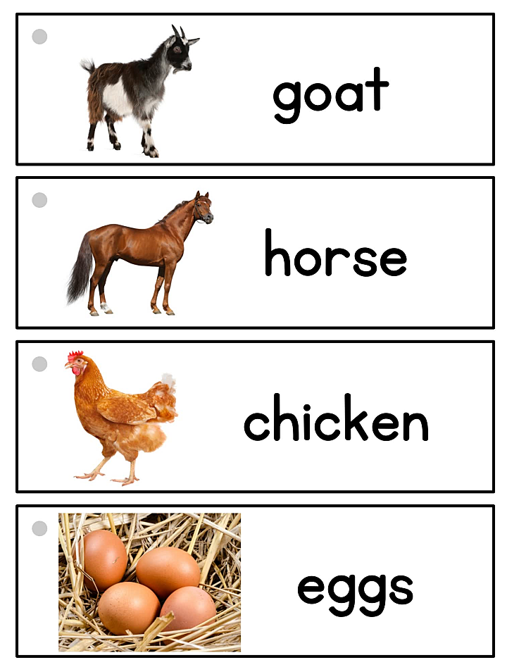 《picture-word cards》28个主题英语启蒙英文闪卡PDF