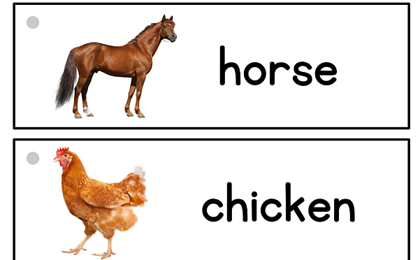 《picture-word cards》28个主题英语启蒙英文闪卡PDF