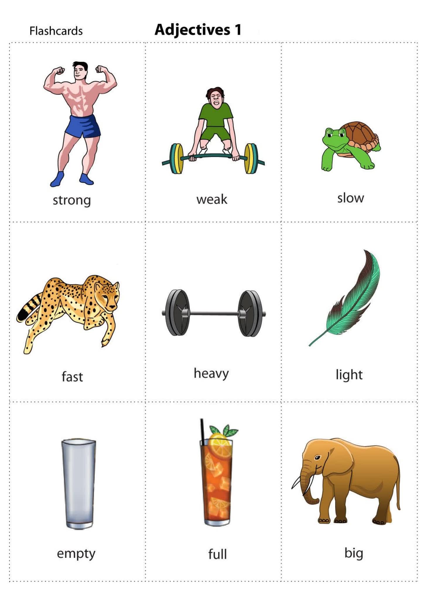 《200+张随身单词卡》79个主题学习单词必备启蒙教材