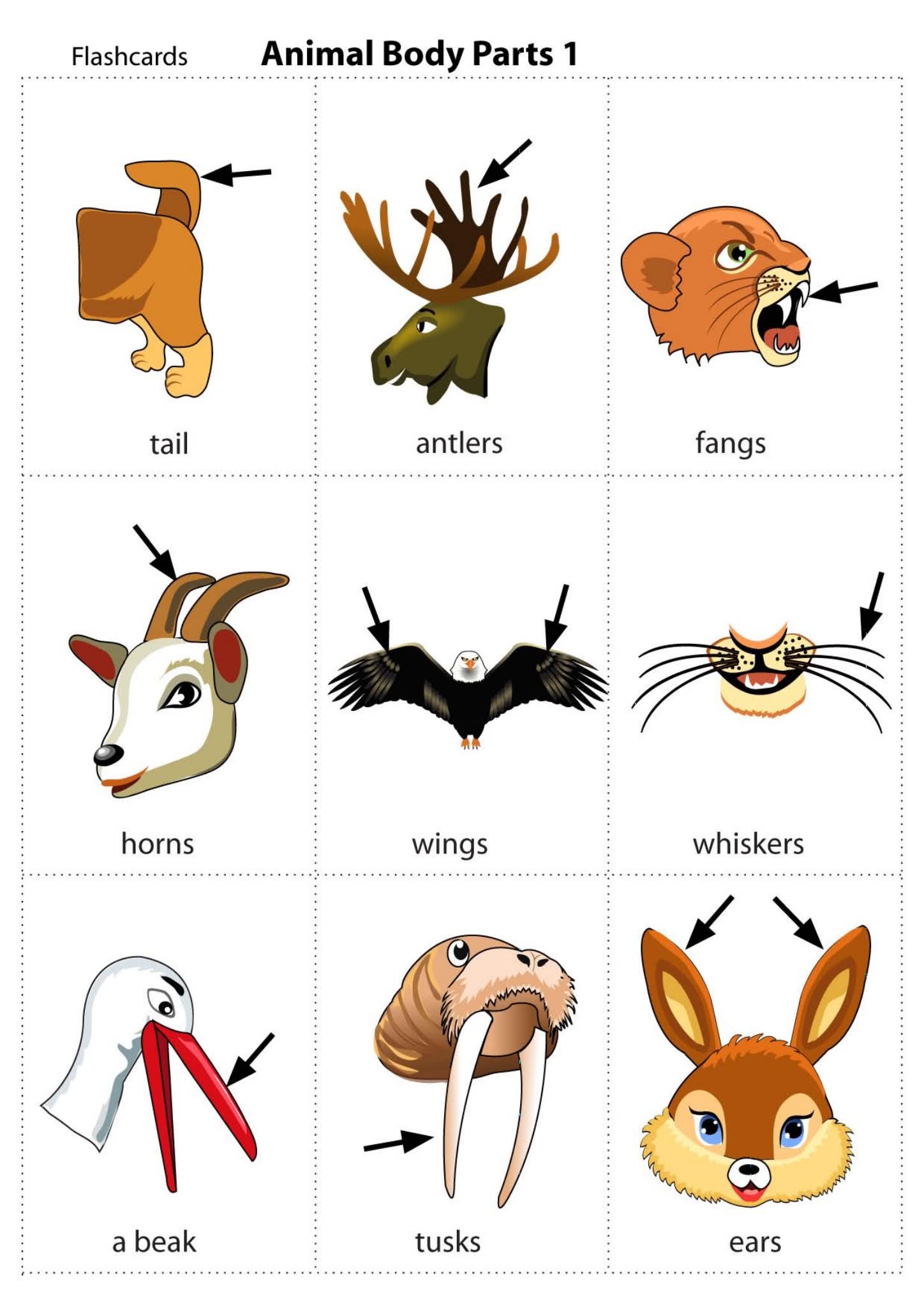 《200+张随身单词卡》79个主题学习单词必备启蒙教材