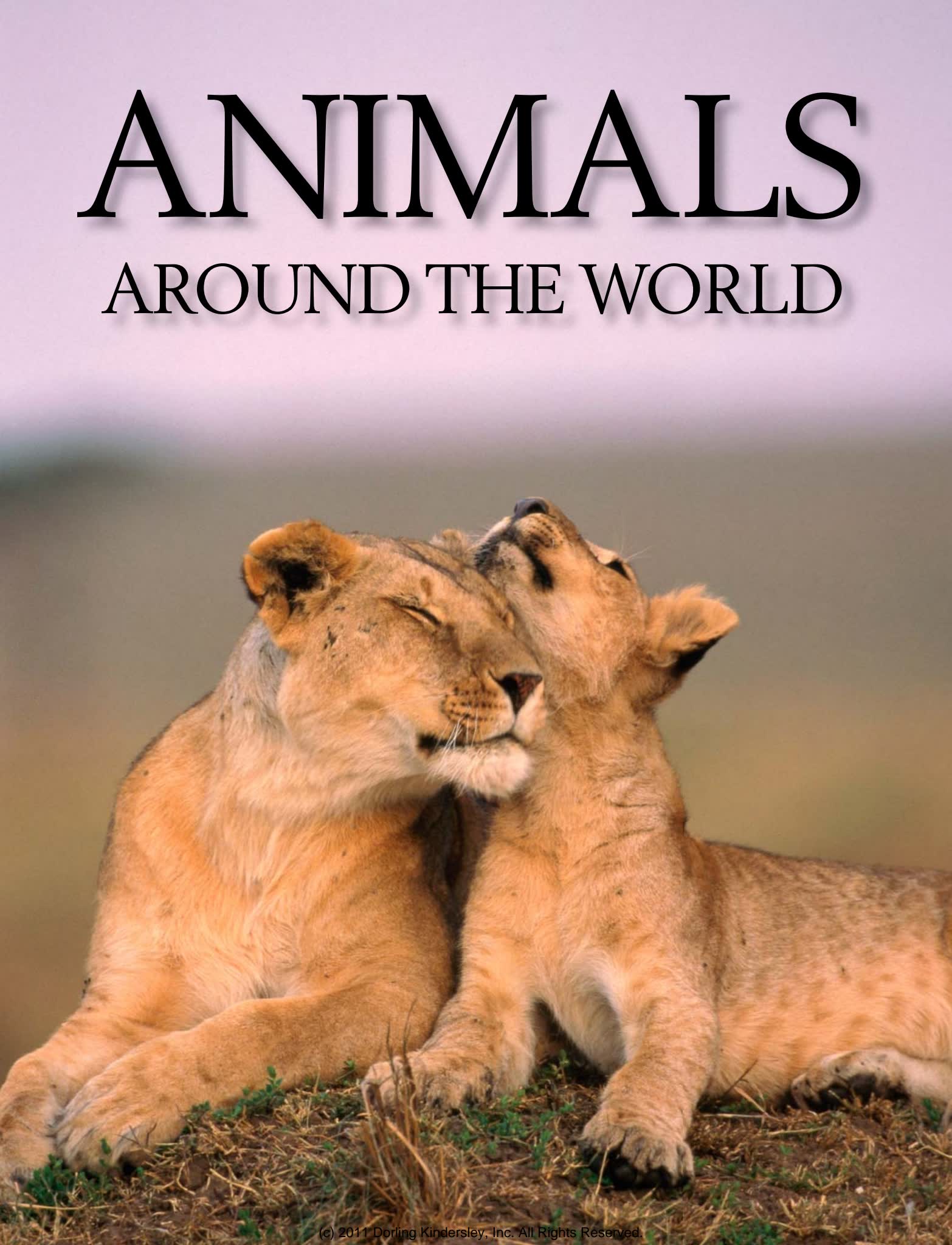 英国DK儿童百科全书 英文PDF电子版 百度云网盘下载