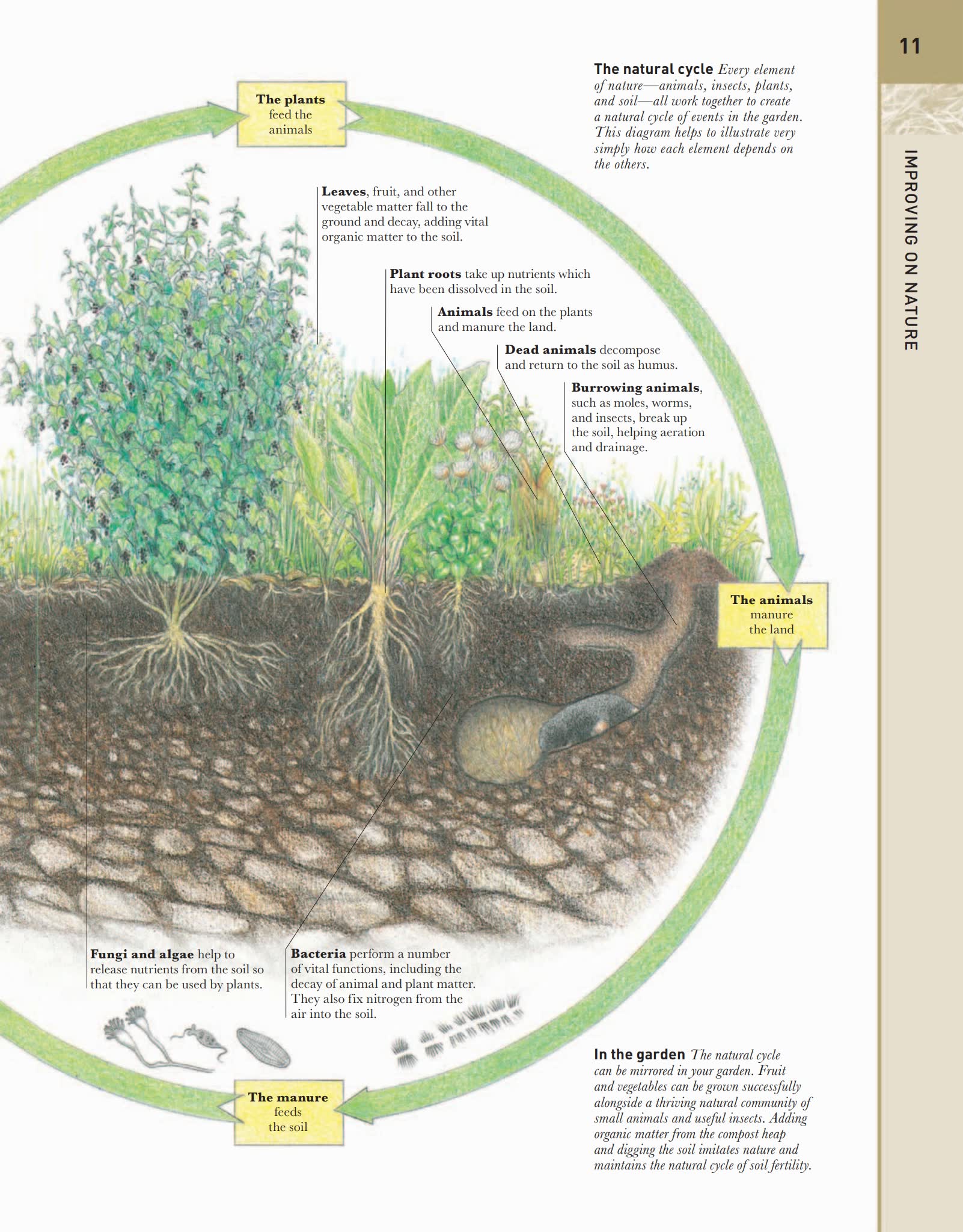 英国DK儿童百科全书 英文PDF电子版 百度云网盘下载