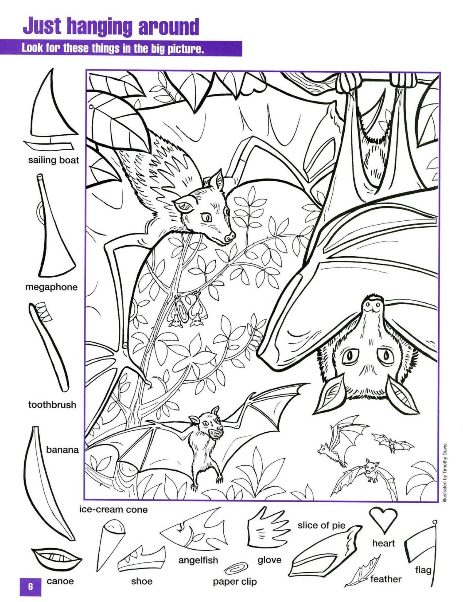 《Hidden Pictures 1&2》104个风靡全球图像游戏PDF