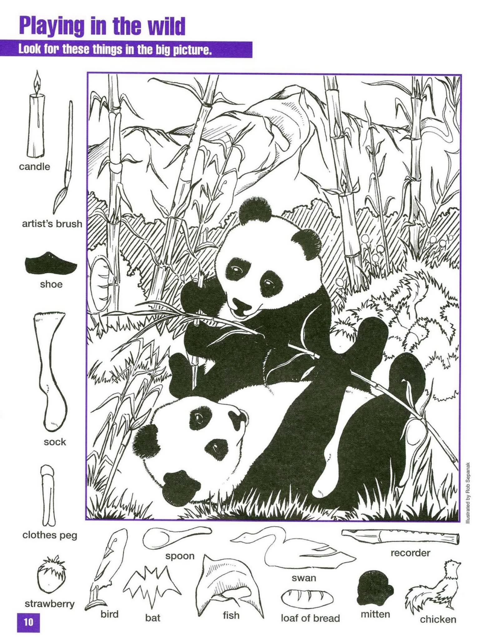 《Hidden Pictures 1&2》104个风靡全球图像游戏PDF