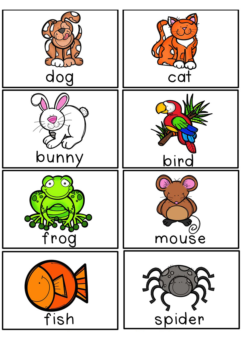 《Pet Store Dramatic Play》宠物店情景游戏素材资源