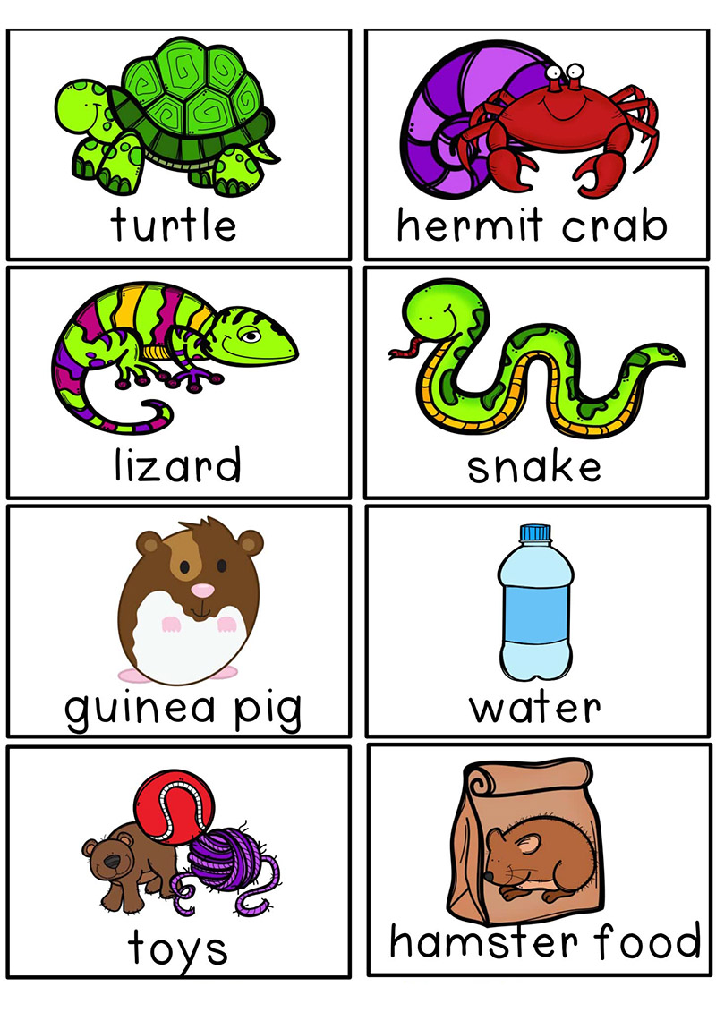 《Pet Store Dramatic Play》宠物店情景游戏素材资源