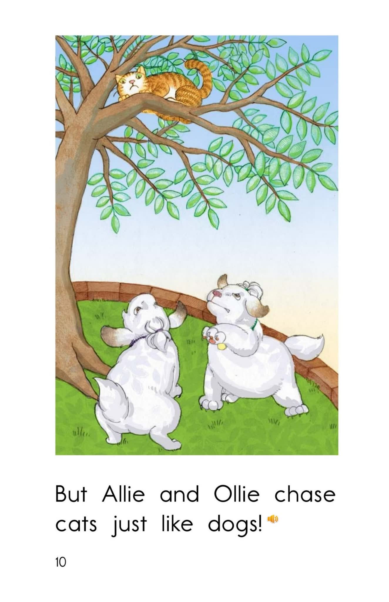 Reading A-Z英语分级阅读(适合5-16岁 读本 音频MP3 点读版PDF)--可点读版