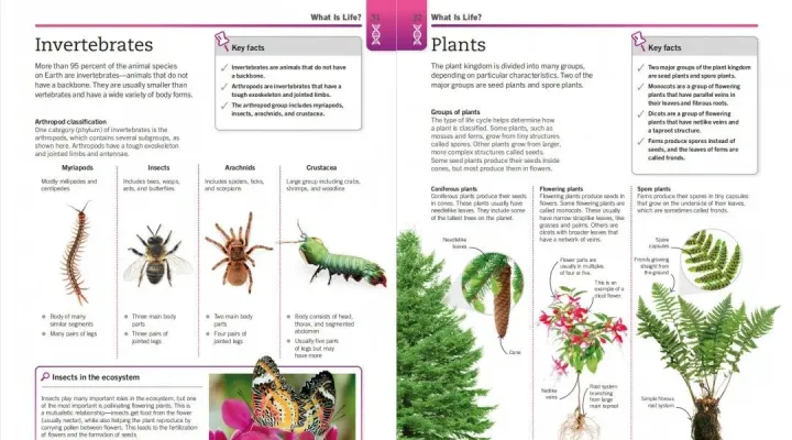 《Super Simple极简系列》四册/数学/物理/化学/生物PDF
