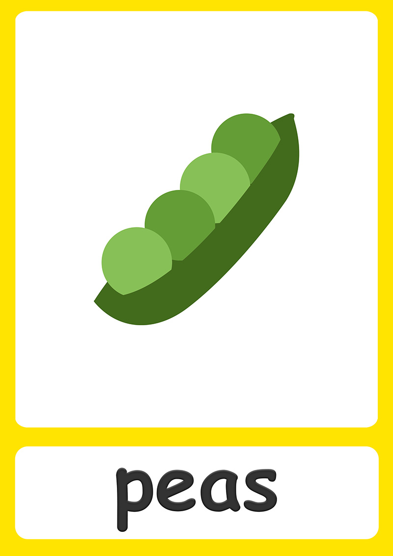 《2000+张主题英语闪卡》英文单词启蒙卡片