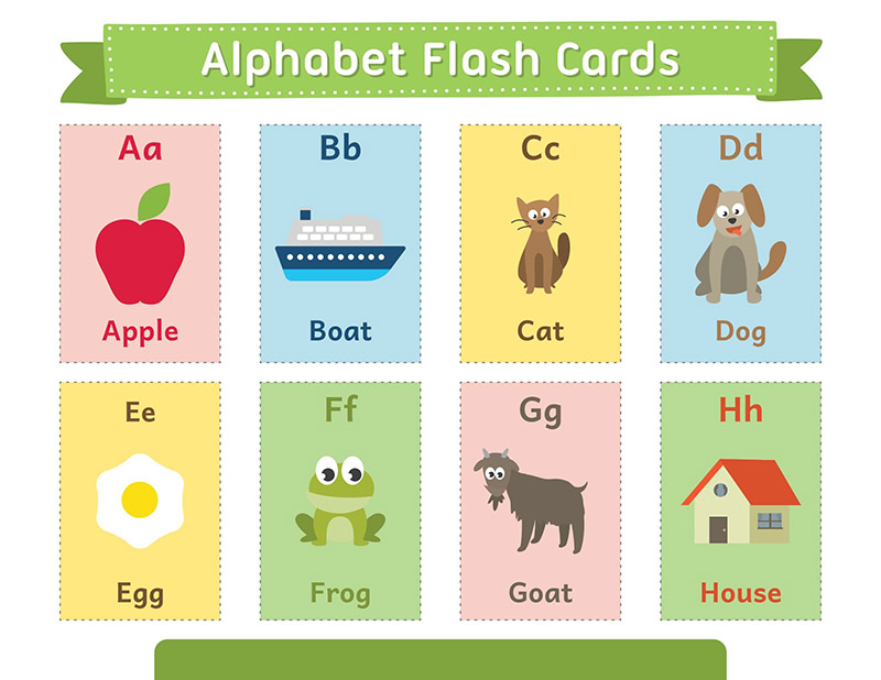 《精美英语彩色单词卡》43个类别轻松掌握1600+词汇