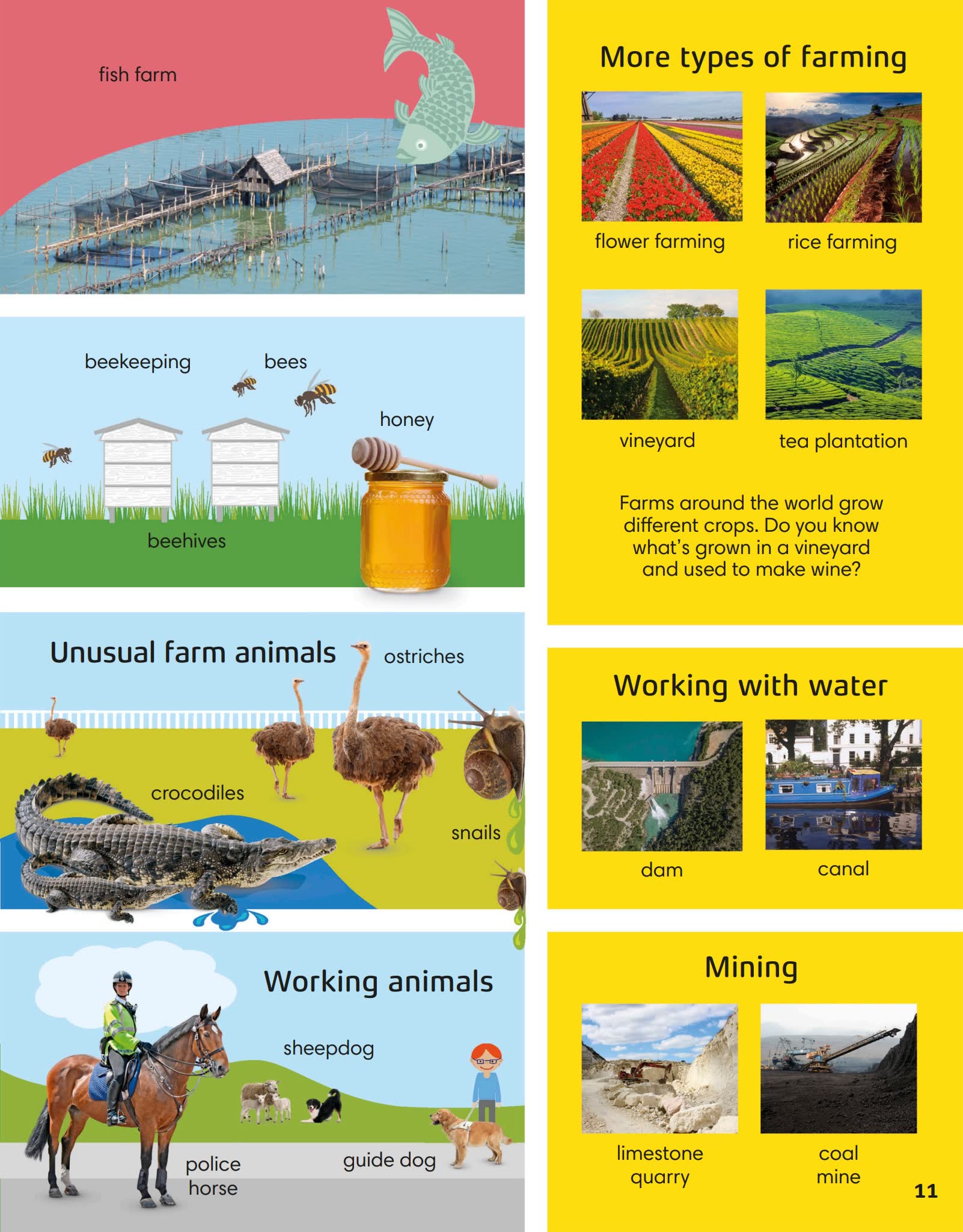 《1000 Words Nature》自然主题英文词汇读写技能PDF