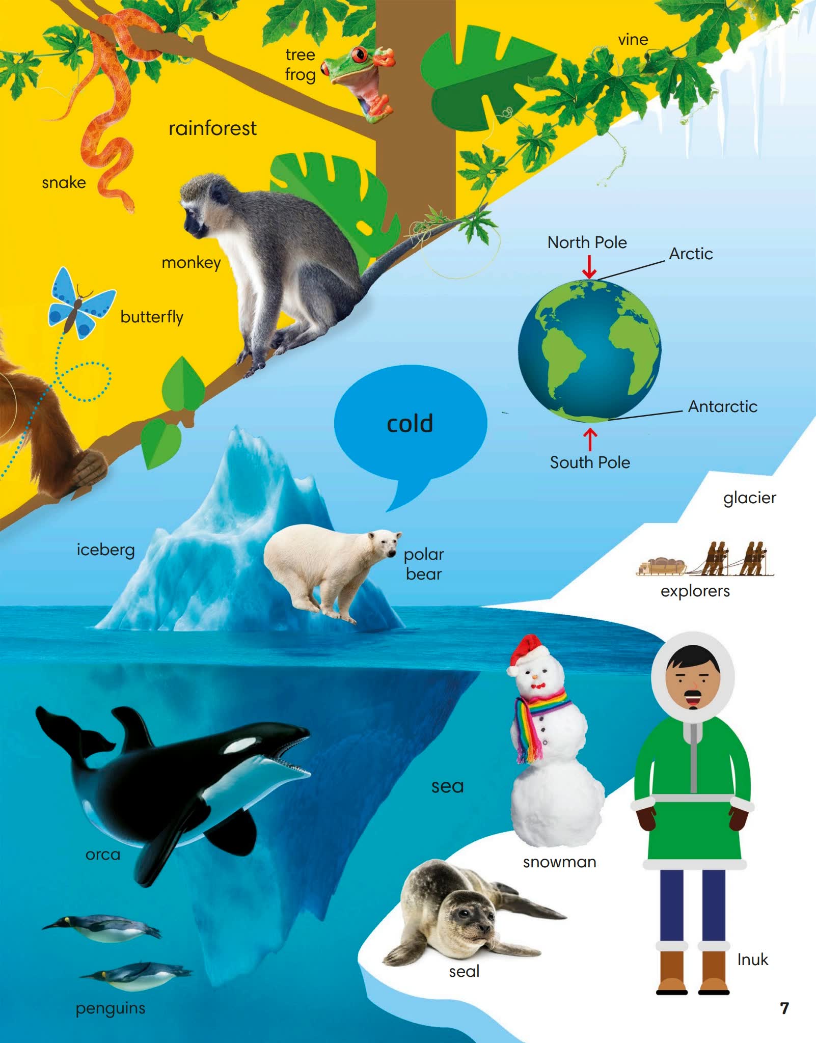 《1000 Words STEM》儿童科普英语词汇DK单词书PDF