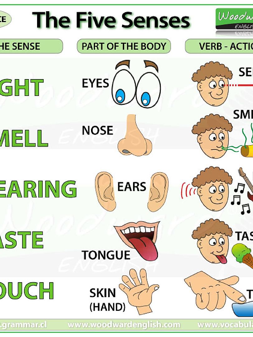《120张彩色英文语法海报》英语启蒙要点归纳总结PDF