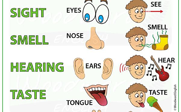 《120张彩色英文语法海报》英语启蒙要点归纳总结PDF