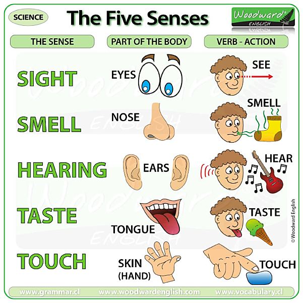 《120张彩色英文语法海报》英语启蒙要点归纳总结PDF