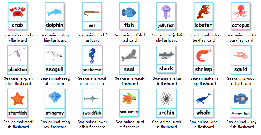 《2000+张主题英语闪卡》英文单词启蒙卡片