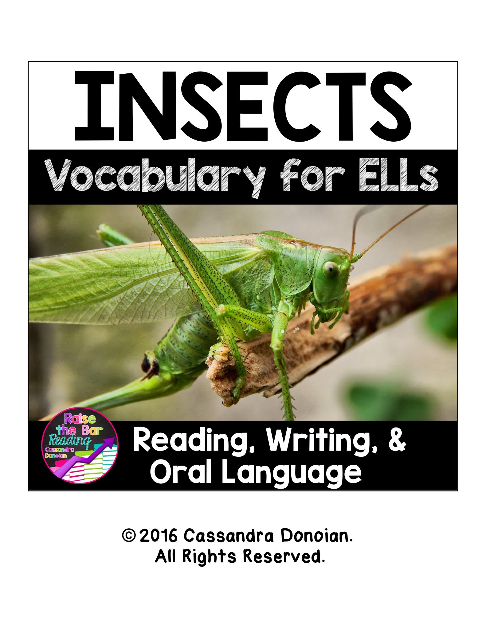 《20份美国小学主题单词银行集合》近1000页英语词汇PDF