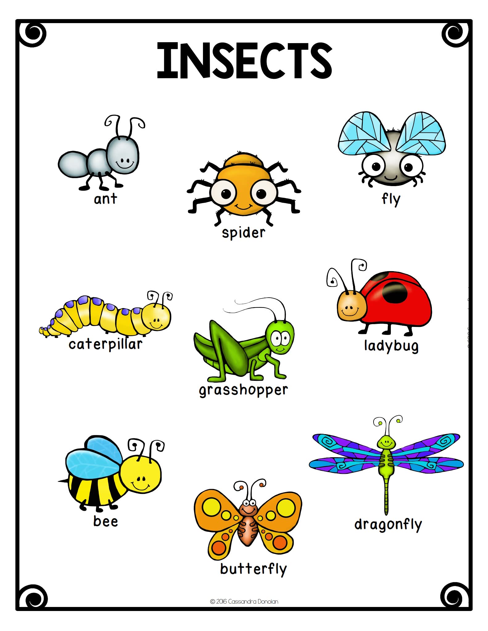 《20份美国小学主题单词银行集合》近1000页英语词汇PDF