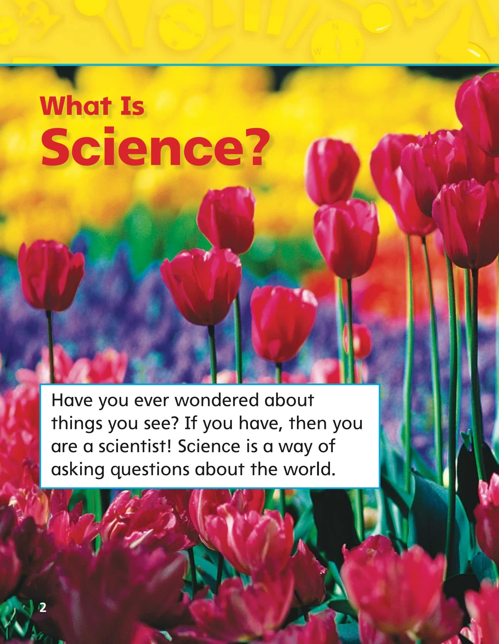 《California Science加州科学G1-G6》英文教材闪卡读本PDF