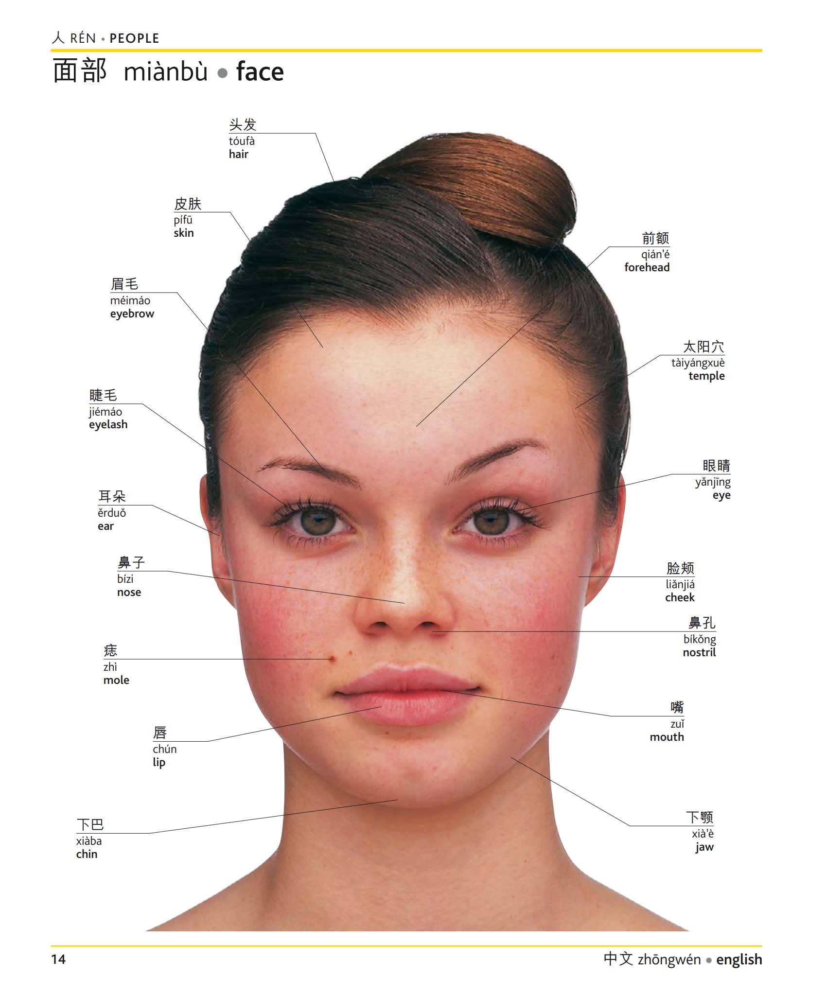 《DK汉英双语图解词典》英语现代世界词汇手册PDF