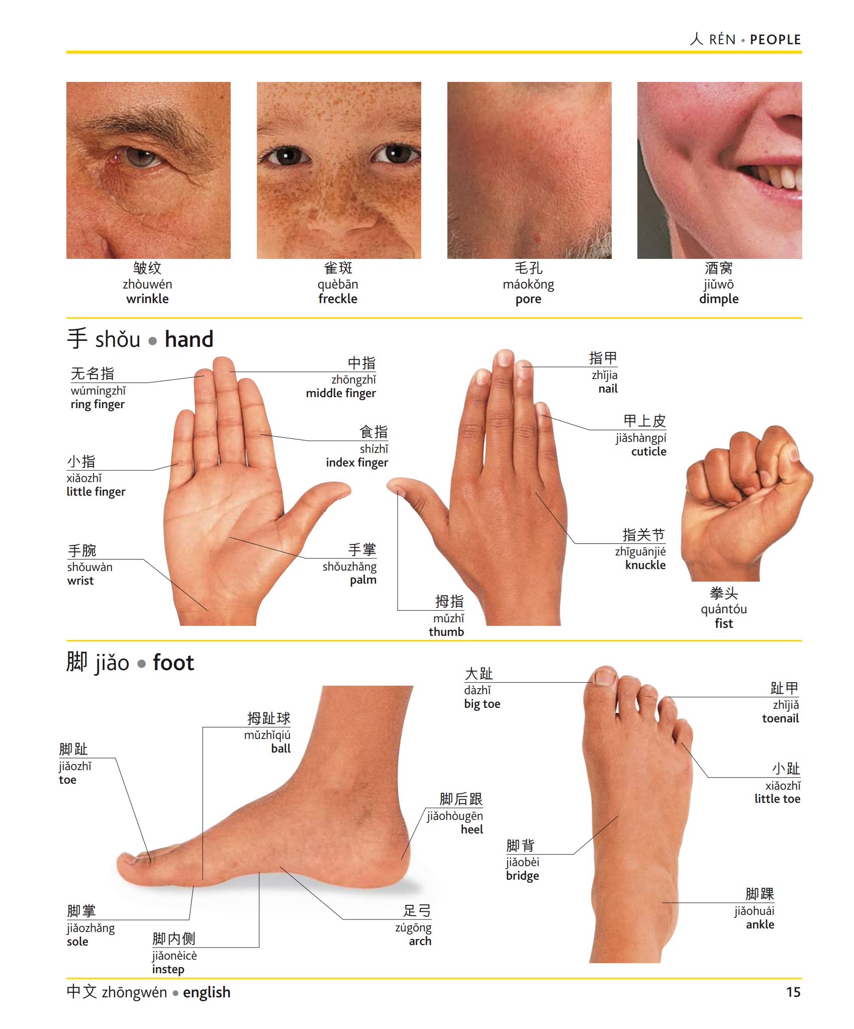 《DK汉英双语图解词典》英语现代世界词汇手册PDF