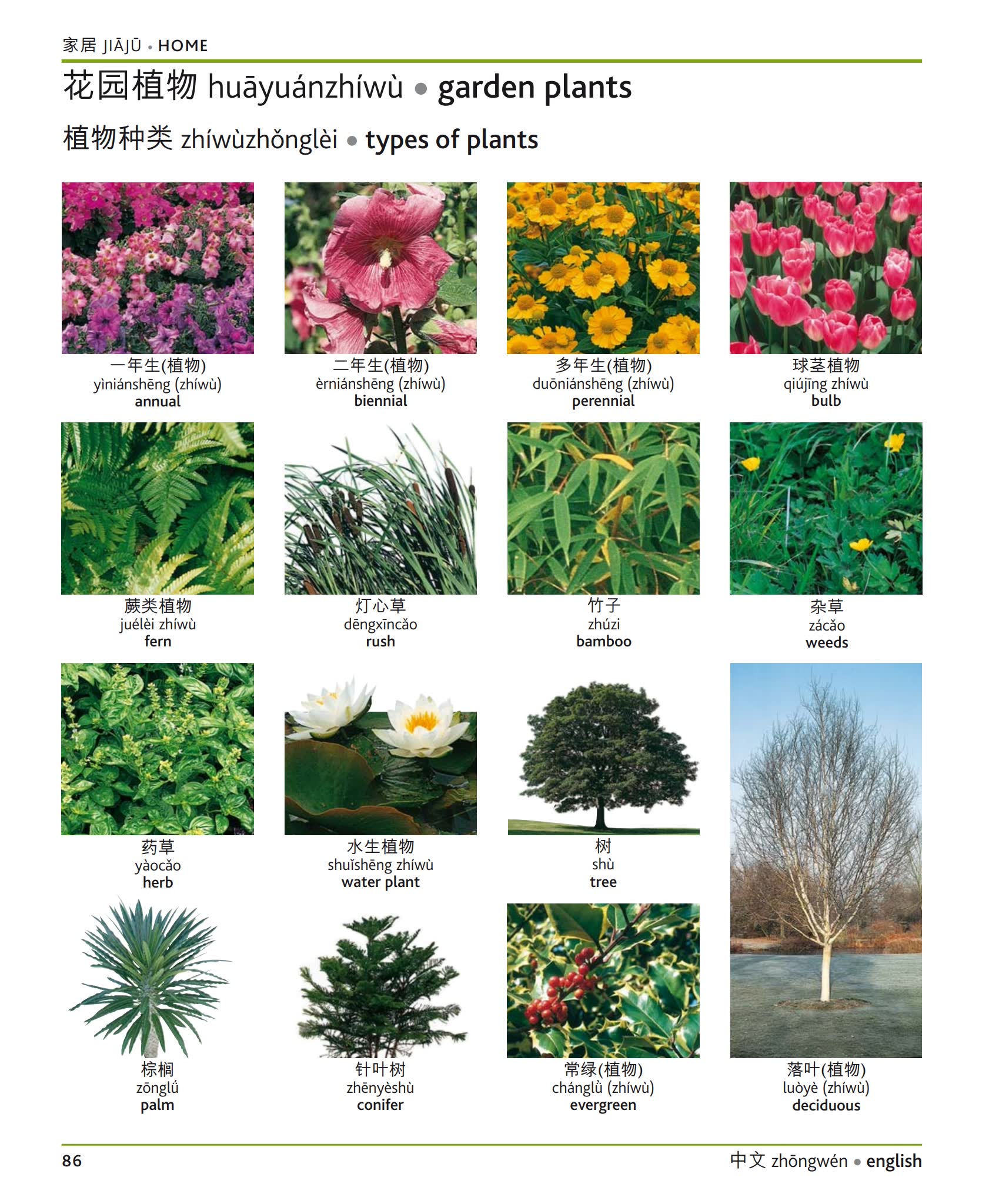 《DK汉英双语图解词典》英语现代世界词汇手册PDF