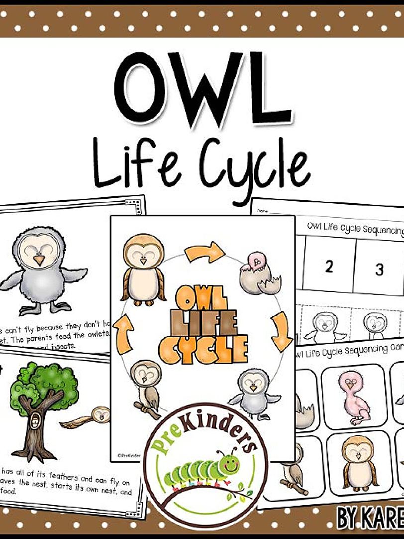 《Fall Life Cycle Science》自然生命科学6册英文作业纸