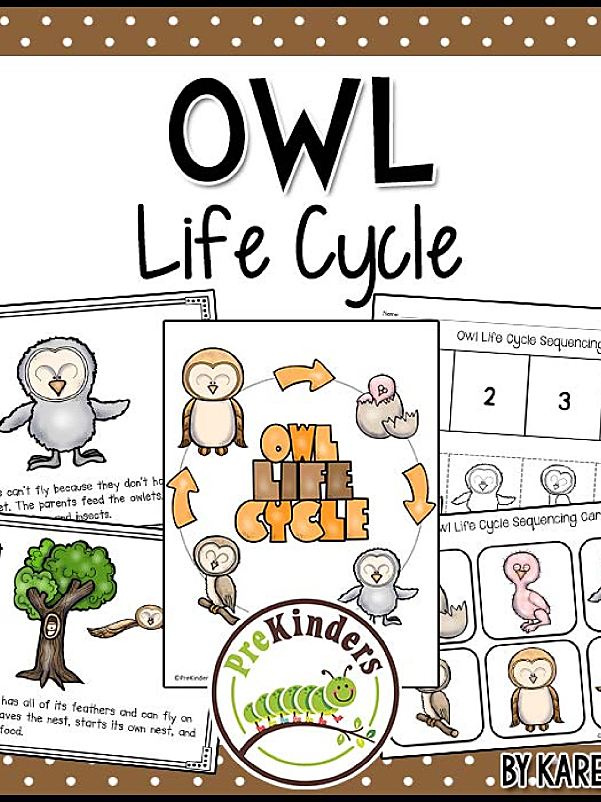 《Fall Life Cycle Science》自然生命科学6册英文作业纸
