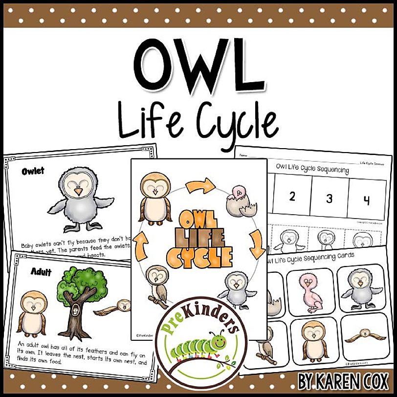 《Fall Life Cycle Science》自然生命科学6册英文作业纸